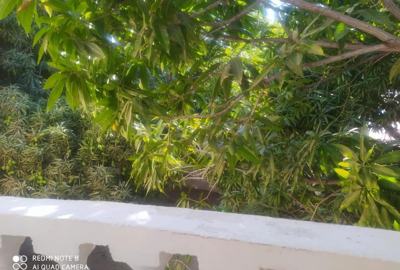 Apartamento Casa Valentina Del Mar-Rodadero-Santa Marta