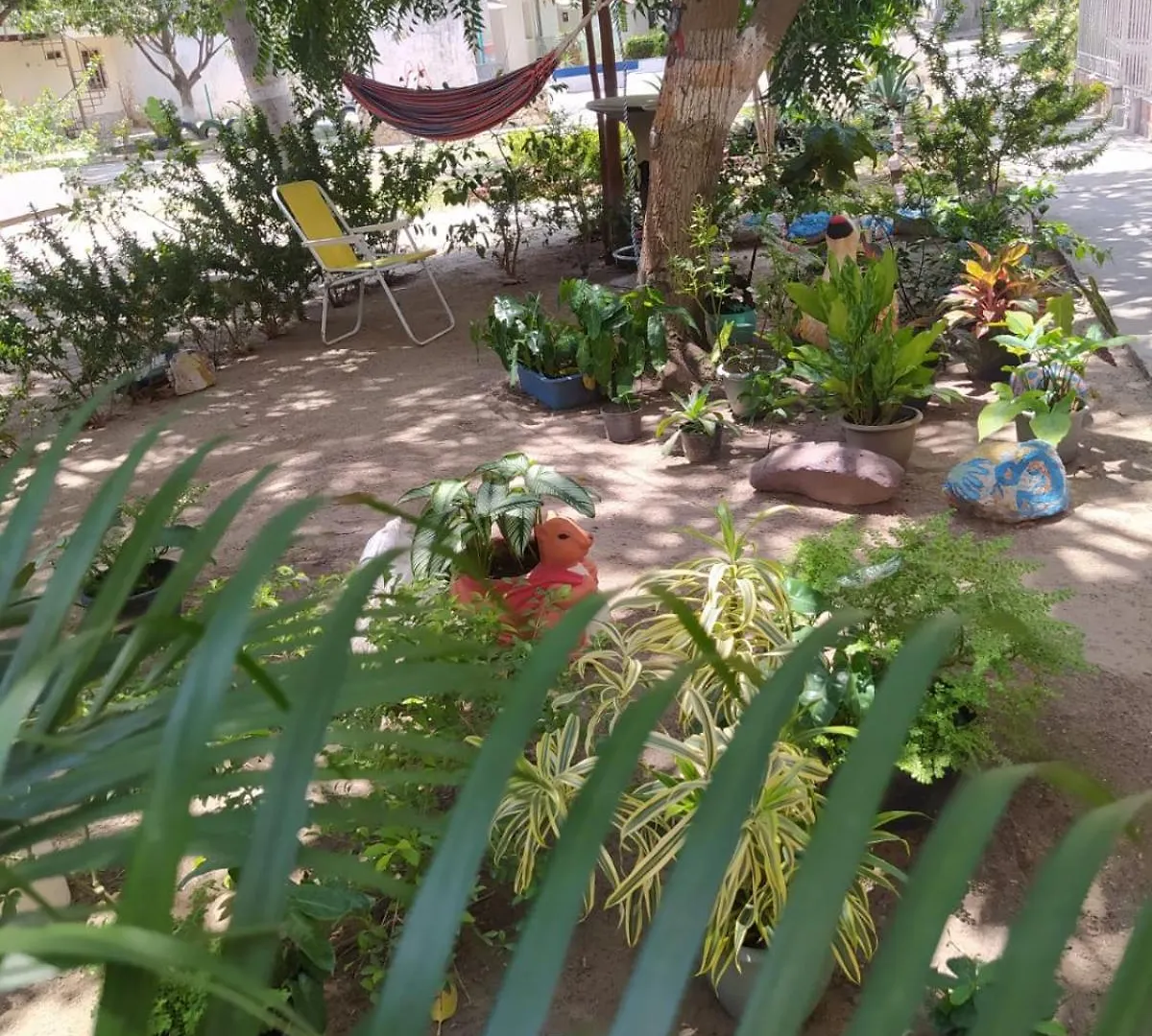 Casa Valentina Del Mar-Rodadero-Santa Marta 0*, Santa Marta (Magdalena) Colombia